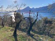 Rustico / Casale in vendita a Brenzone sul Garda VR