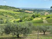 Rustico / Casale in vendita a Brisighella RA