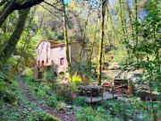 Rustico / Casale in vendita a Camaiore LU