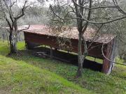 Rustico / Casale in vendita a Camaiore LU