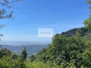 Rustico / Casale in vendita a Camaiore LU