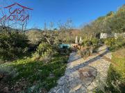 Rustico / casale in vendita a Camaiore, ORBICCIANO