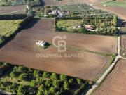 Rustico / Casale in vendita a Campi Salentina LE