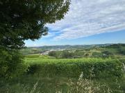 Rustico / Casale in vendita a Canelli AT