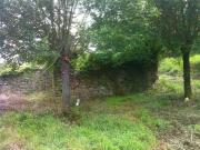 Rustico / Casale in vendita a Cannara PG