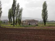 Rustico / Casale in vendita a Cannara PG