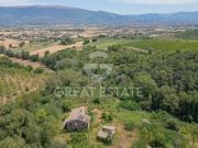 Rustico / Casale in vendita a Cannara PG