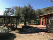 Rustico / Casale in vendita a Capalbio GR