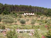 Rustico / Casale in vendita a Capannori LU