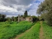 Rustico / Casale in vendita a Capo d'Orlando ME