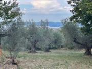 Rustico / Casale in vendita a Capodimonte VT