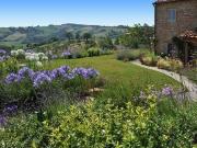 Rustico / Casale in vendita a Capraia e Limite FI