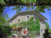 Rustico / Casale in vendita a Caprese Michelangelo AR