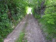 Rustico / Casale in vendita a Caprese Michelangelo AR