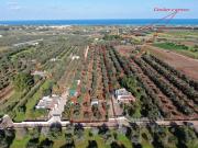 Rustico / Casale in vendita a Carovigno BR