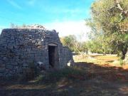 Rustico / Casale in vendita a Carovigno BR