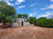 Rustico / Casale in vendita a Carovigno BR