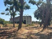 Rustico / Casale in vendita a Carovigno BR