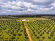 Rustico / Casale in vendita a Carovigno BR