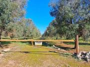 Rustico / Casale in vendita a Carovigno BR