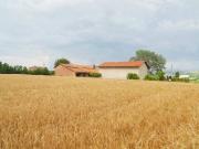 Rustico / Casale in vendita a Carrù CN