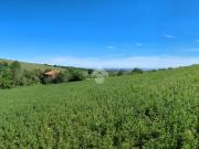 Rustico / Casale in vendita a Casale Monferrato AL