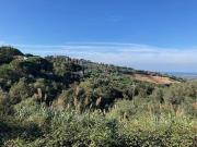 Rustico / Casale in vendita a Castagneto Carducci LI