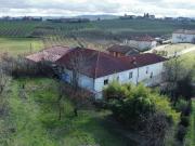 Rustico / Casale in vendita a Castagnole delle Lanze AT
