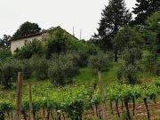 Rustico / Casale in vendita a Castel Viscardo TR