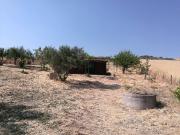 Rustico / Casale in vendita a Castellana Sicula PA