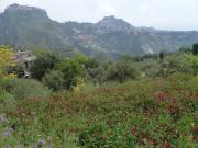 Rustico / Casale in vendita a Castelmola ME