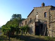 Rustico / Casale in vendita a Castelnuovo di Val di...