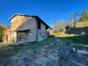 Rustico / Casale in vendita a Castelvetro di Modena MO