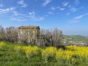 Rustico / Casale in vendita a Castelvetro di Modena MO