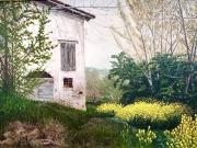 Rustico / Casale in vendita a Castelvetro di Modena MO