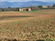 Rustico / Casale in vendita a Castiglion Fiorentino AR