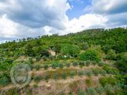 Rustico / Casale in vendita a Castiglion Fiorentino AR