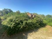 Rustico / Casale in vendita a Castiglione del Lago PG