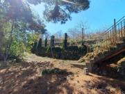 Rustico / Casale in vendita a Castiglione di Sicilia CT