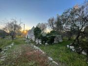 Rustico / Casale in vendita a Ceglie Messapica BR