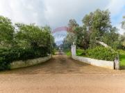 Rustico / Casale in vendita a Ceglie Messapica BR