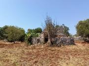 Rustico / Casale in vendita a Ceglie Messapica BR