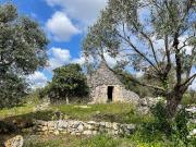 Rustico / Casale in vendita a Ceglie Messapica BR