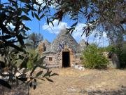 Rustico / Casale in vendita a Ceglie Messapica BR