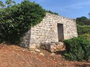 Rustico / Casale in vendita a Ceglie Messapica BR