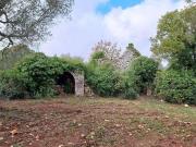 Rustico / Casale in vendita a Ceglie Messapica BR