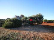 Rustico / Casale in vendita a Ceglie Messapica BR