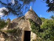 Rustico / Casale in vendita a Ceglie Messapica BR