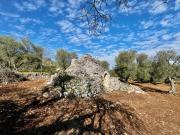 Rustico / Casale in vendita a Ceglie Messapica BR