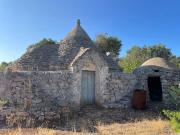 Rustico / Casale in vendita a Ceglie Messapica BR